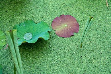 粉丝自制《星际火狐64》PC移植版提供下载
